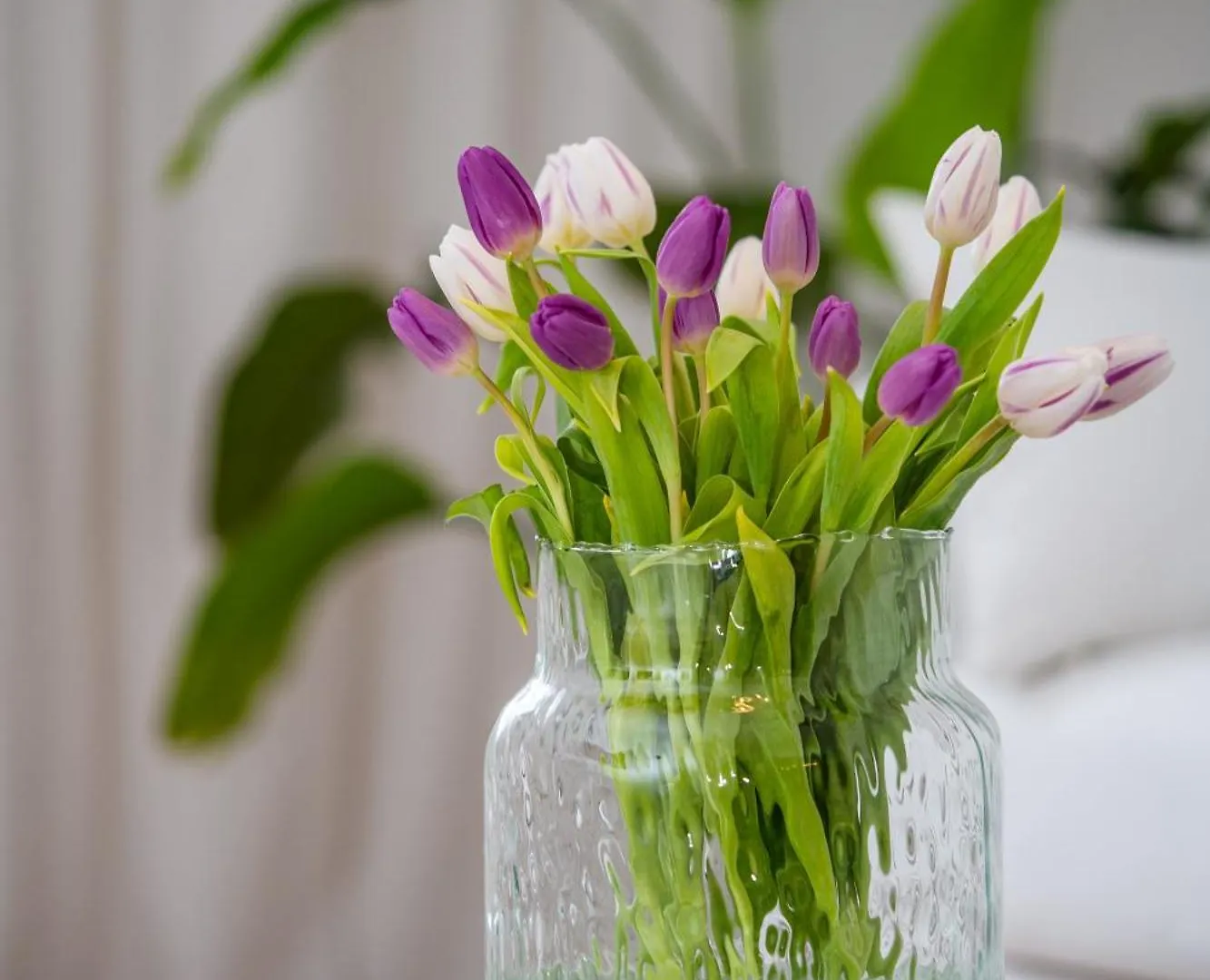 Hanse Villa - Apartment Hamburg Lubeck Germany
